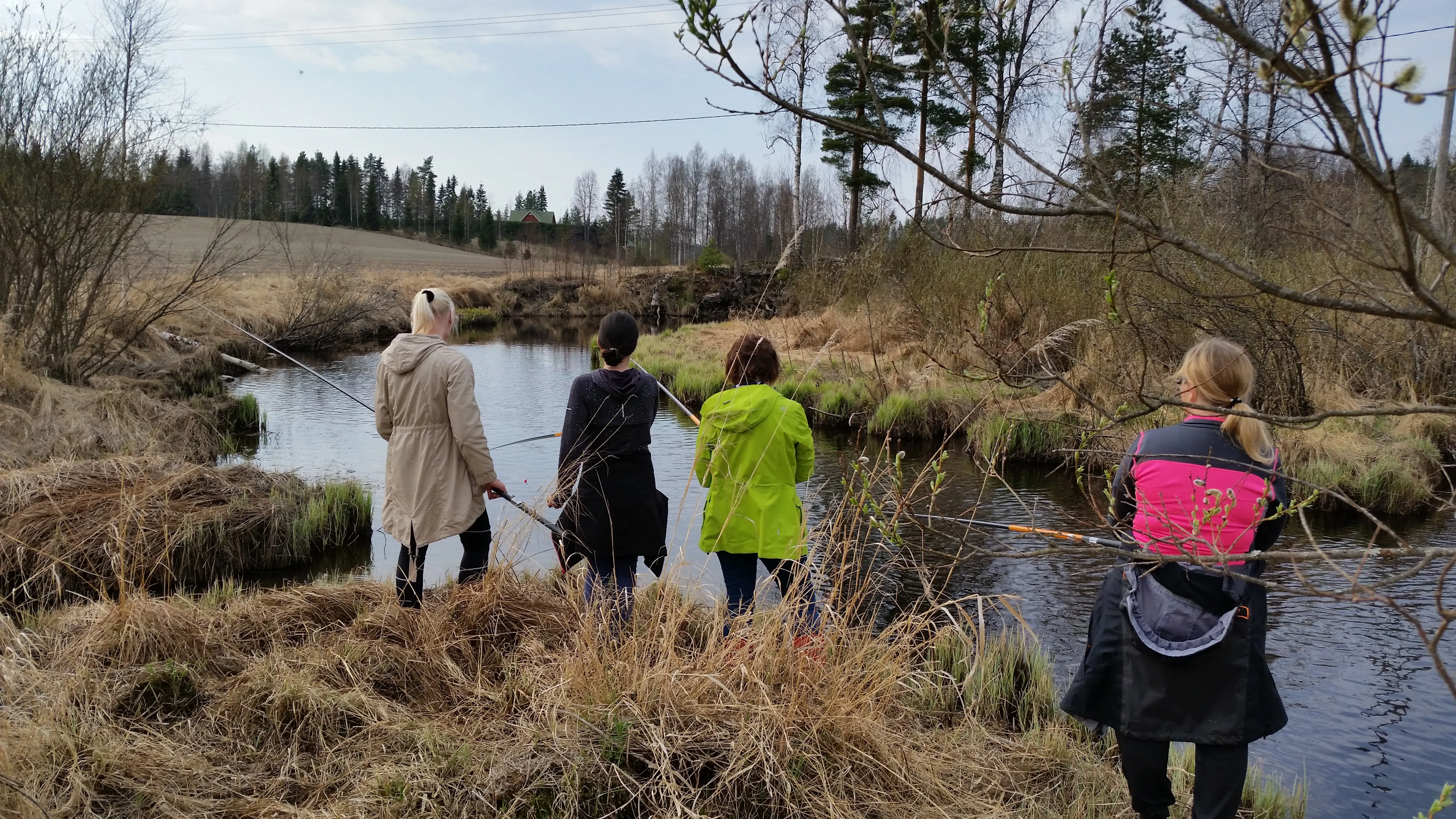 Kuva Välkkeeltä 5